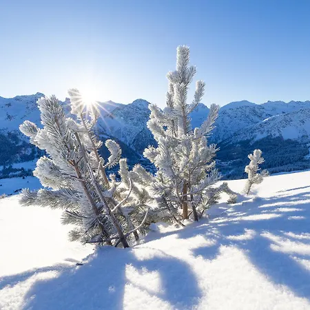 Belarosa & Wellness فندق أروسا