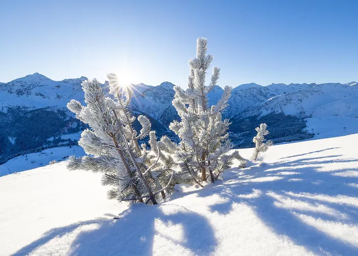 Belarosa & Wellness Hotel Arosa