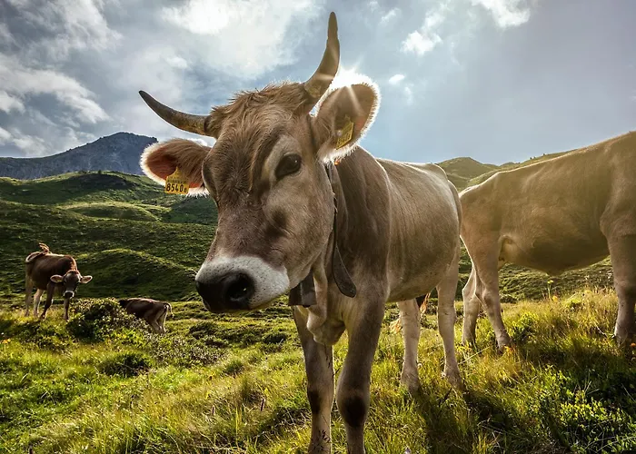 Ξενοδοχείο Belarosa & Wellness