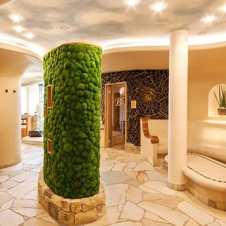 Belarosa & Wellness 호텔 4*